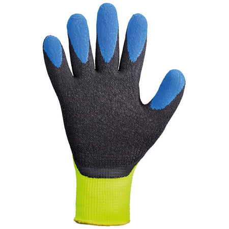 Forster Winter Handschuh HEMMING TECHNIK